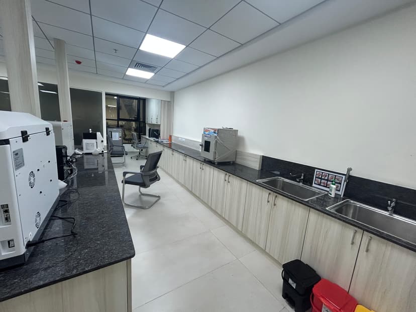 Lab